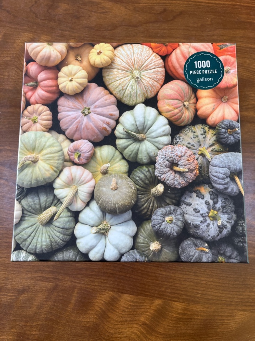 Galison 1000-Piece Puzzle